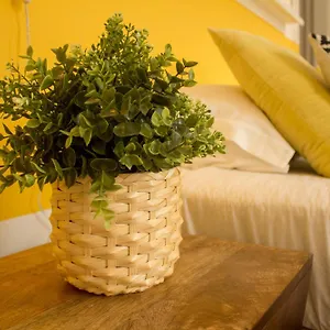 Intendente 1865 Bed & Breakfast Lisbon